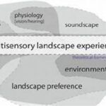 **integrated Multisensory Educational Framework**