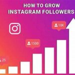 Growing Artist Following On Instagram