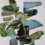 Socially Engaged Public Art Practices