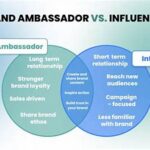 “achieving Brand Synergy Influencers”