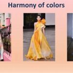 Color Harmony In Fashion Design