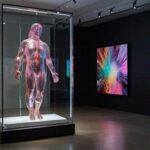 Dynamic Sensor-based Art Displays