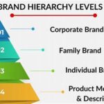 Visual Hierarchy In Brand Materials